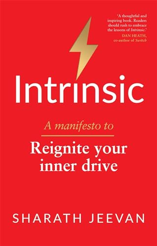 Stock image for Intrinsic: A manifesto to reignite your inner drive for sale by PlumCircle