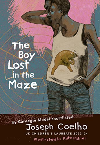 Imagen de archivo de The Boy Lost in the Maze a la venta por Blackwell's