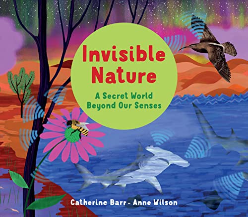 Stock image for Invisible Nature for sale by Blackwell's