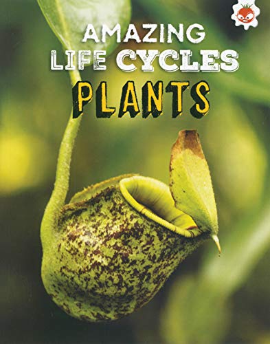 Stock image for AMAZING LIFE CYCLES - PLANTS for sale by Revaluation Books