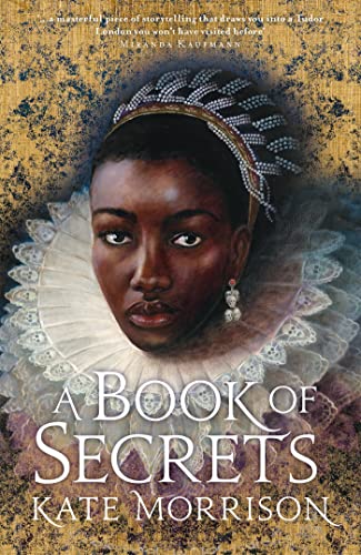 Stock image for A Book of Secrets for sale by PBShop.store US