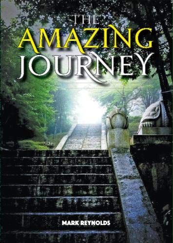 Imagen de archivo de The Amazing Journey a la venta por WorldofBooks