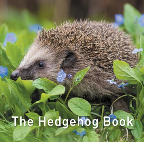 Imagen de archivo de The Hedgehog Book: 1 a la venta por WorldofBooks
