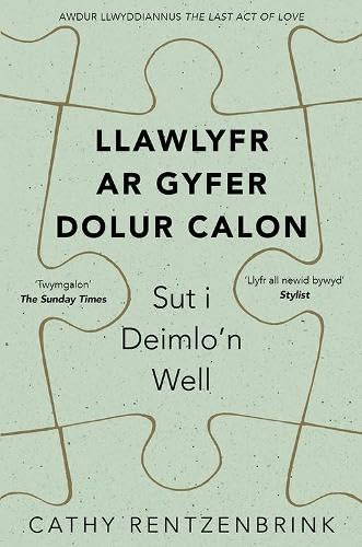 Stock image for Llawlyfr Ar Gyfer Dolur Calon for sale by GreatBookPrices