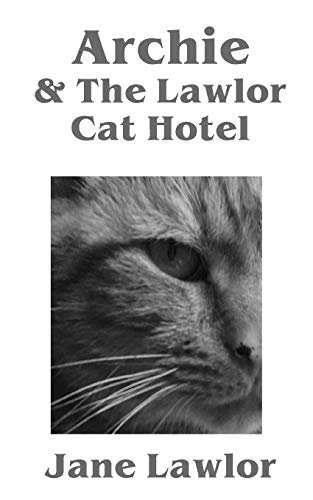 Beispielbild fr Archie & The Lawlor Cat Hotel zum Verkauf von WorldofBooks