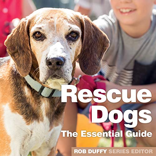 Beispielbild fr Rescue Dogs: The Essential Guide zum Verkauf von WorldofBooks