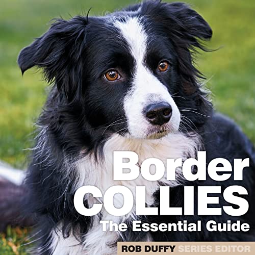 Stock image for Border Collies: The Essential Guide for sale by ThriftBooks-Atlanta