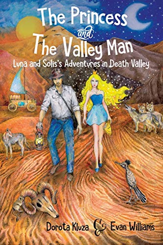 Beispielbild fr The Princess And The Valley Man zum Verkauf von Buchpark