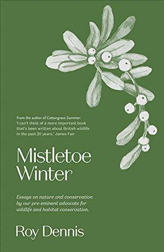 Stock image for Mistletoe Winter for sale by More Than Words