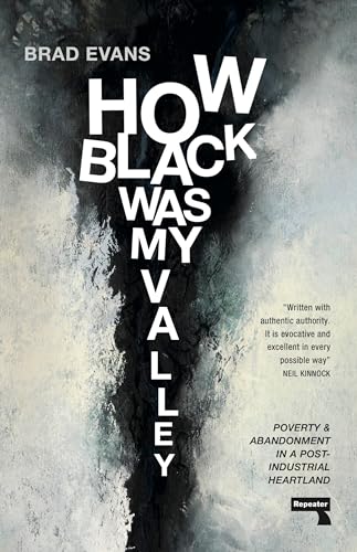 9781913462840: How Black Was My Valley: Poverty and Abandonment in a Post-Industrial Heartland