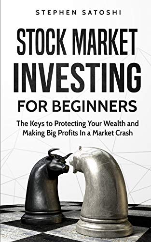 Imagen de archivo de Stock Market Investing for Beginners: The Keys to Protecting Your Wealth and Making Big Profits In a Market Crash a la venta por Lucky's Textbooks