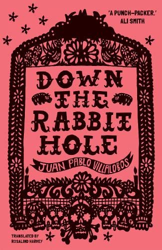 Beispielbild fr Down the Rabbit Hole: Shortlisted for the 2011 Guardian First Book Award zum Verkauf von WorldofBooks