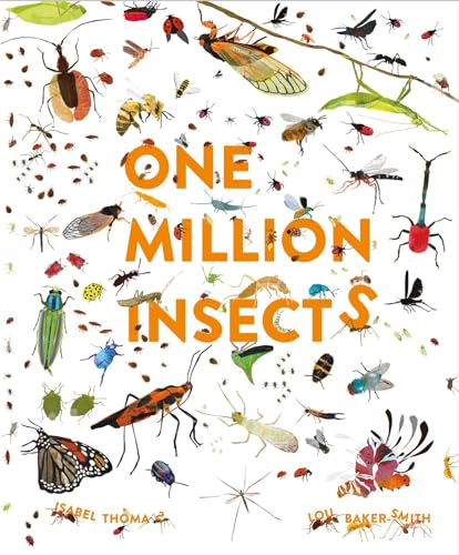 Imagen de archivo de One Million Insects a la venta por AwesomeBooks