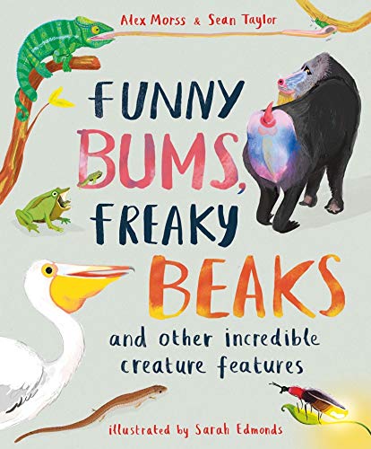 Stock image for Funny Bums, Freaky Beaks: and Other Incredible Creature Features for sale by Hippo Books