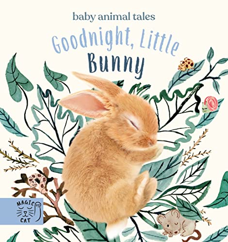 Imagen de archivo de Goodnight, Little Bunny: A book about being brave (Baby Animal Tales) a la venta por WorldofBooks