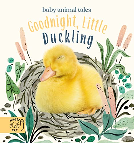 Stock image for Goodnight, Little Duckling: A book about listening (Baby Animal Tales) for sale by WorldofBooks