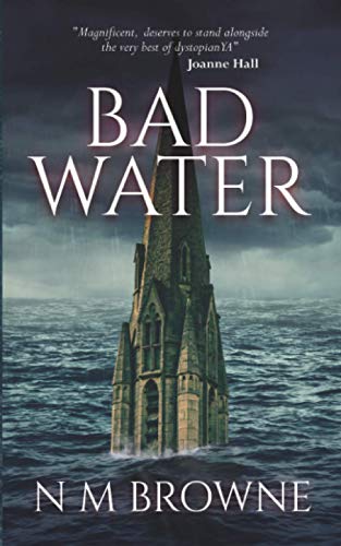 Stock image for Bad Water for sale by WorldofBooks