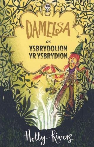 Beispielbild fr Damelsa: Damelsa ac Ysbrydolion yr Ysbrydion zum Verkauf von AwesomeBooks