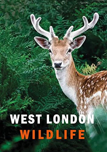 Imagen de archivo de West London Wildlife a la venta por WorldofBooks