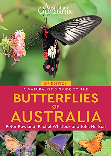 Beispielbild fr A Naturalist's Guide to the Butterflies of Australia (2nd) (Naturalists' Guides) zum Verkauf von AwesomeBooks