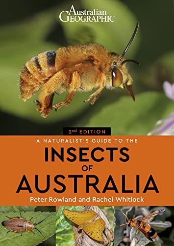 Beispielbild fr A Naturalist's Guide to the Insects of Australia zum Verkauf von Blackwell's