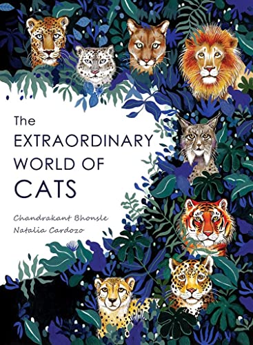 Beispielbild fr The Extraordinary World of Cats zum Verkauf von Blackwell's