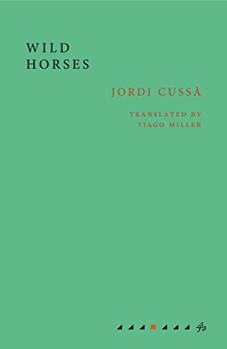 Imagen de archivo de Wild Horses a la venta por WorldofBooks