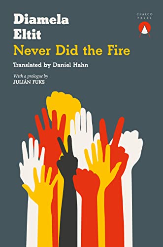 Beispielbild fr Never Did the Fire zum Verkauf von Books-FYI, Inc.