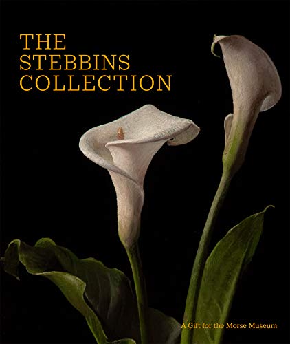 Stock image for The Stebbins Collection for sale by Blackwell's