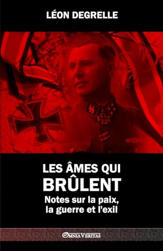 Stock image for Les mes qui brlent: Notes sur la paix, la guerre et l'exil for sale by Librairie Th  la page