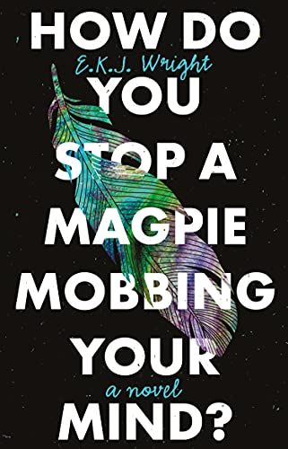 Stock image for How Do you Stop a Magpie Mobbing Your Mind? for sale by WorldofBooks