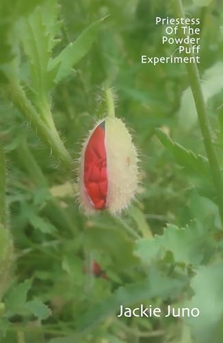 Stock image for Priestess Of The Powder Puff Experiement for sale by GreatBookPrices