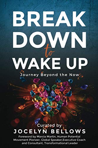 9781913973032: Break Down to Wake Up: Journey Beyond the Now