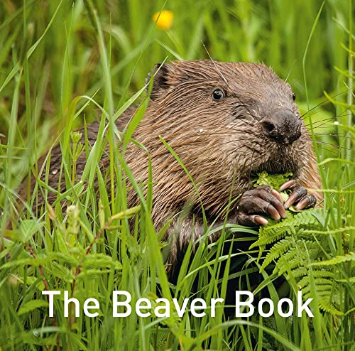 Imagen de archivo de The Beaver Book (Nature Book Series) a la venta por WorldofBooks