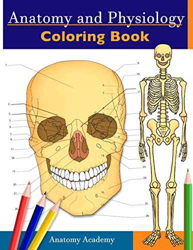 Imagen de archivo de Anatomy and Physiology Coloring Book: Incredibly Detailed Self-Test Color workbook for Studying | Perfect Gift for Medical School Students, Doctors, Nurses and Adults a la venta por HPB-Ruby