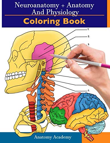 Imagen de archivo de Neuroanatomy + Anatomy and Physiology Coloring Book: 2-in-1 Collection Set | Incredibly Detailed Self-Test Color workbook for Studying and Relaxation a la venta por HPB-Red