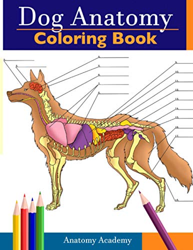 Imagen de archivo de Dog Anatomy Coloring Book: Incredibly Detailed Self-Test Canine Anatomy Color workbook | Perfect Gift for Veterinary Students, Dog Lovers & Adults a la venta por SecondSale