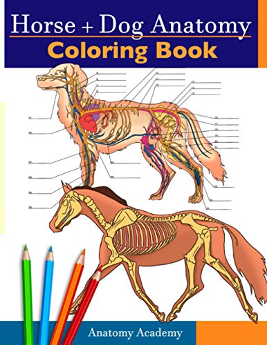 Imagen de archivo de Horse + Dog Anatomy Coloring Book: 2-in-1 Compilation | Incredibly Detailed Self-Test Equine & Canine Anatomy Color workbook | Perfect Gift for Veterinary Students, Animal Lovers & Adults a la venta por Book Deals
