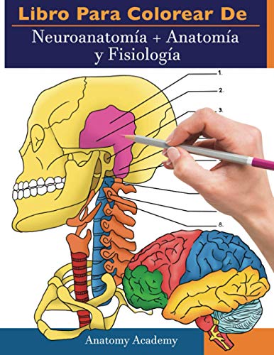 9781914207297: Libro para colorear de Neuroanatomía + Anatomía y Fisiología: 2-en-1 compilación | Libro de colores de autoevaluación para estudiar muy detallado para Estudiar y Relajarse - Academy, Anatomy: 1914207297 - AbeBooks 9781914207297: Libro para colorear de Neuroanatomía + Anatomía y Fisiología: 2-en-1 compilación | Libro de colores de autoevaluación para estudiar muy detallado para Estudiar y Relajarse - Academy, Anatomy: 1914207297 - AbeBooks