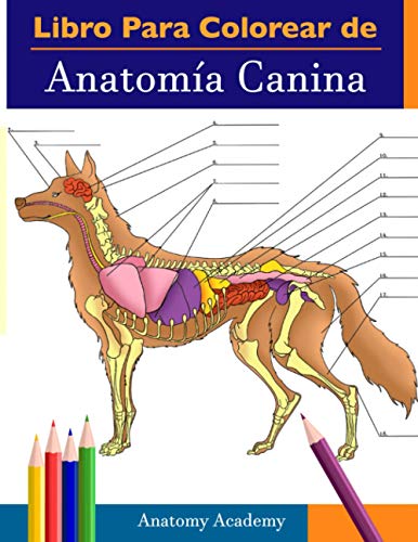 9781914207327: Libro para colorear de Anatomía Canina: Libro de Colores de Autoevaluación Detallado de Anatomía Canina | El Regalo Perfecto Para Estudiantes de Veterinaria, Amantes de los Perros y Adultos -