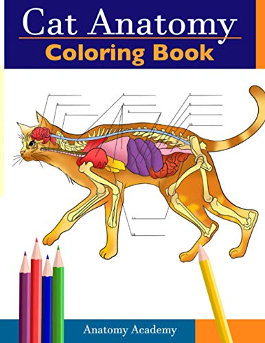 Imagen de archivo de Cat Anatomy Coloring Book: Incredibly Detailed Self-Test Feline Anatomy Color workbook | Perfect Gift for Veterinary Students, Cat Lovers Adults a la venta por Blue Vase Books