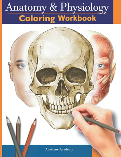 Imagen de archivo de Anatomy and Physiology Coloring Workbook: The Essential College Level Study Guide | Perfect Gift for Medical School Students, Nurses and Anyone Interested in our Human Body a la venta por Goodwill
