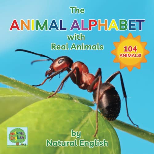 Stock image for The Animal Alphabet with Real Animals for sale by Book Deals