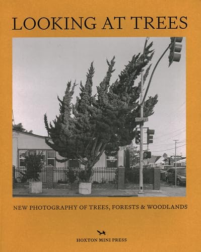 Beispielbild fr Looking at Trees: New photography of trees, forests and woodlands zum Verkauf von Lakeside Books