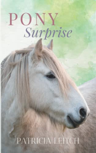 Stock image for Pony Surprise for sale by Reuseabook