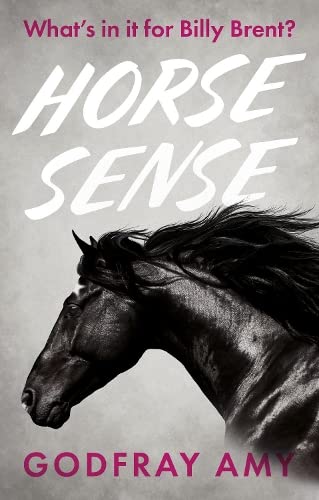 Imagen de archivo de Horse Sense a la venta por WorldofBooks