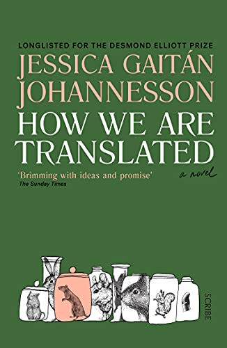Stock image for How We Are Translated: a novel for sale by AwesomeBooks