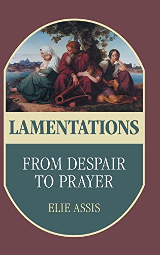 Imagen de archivo de Lamentations: From Despair to Prayer a la venta por Moe's Books