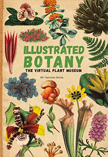 Beispielbild fr Illustrated Botany zum Verkauf von Blackwell's