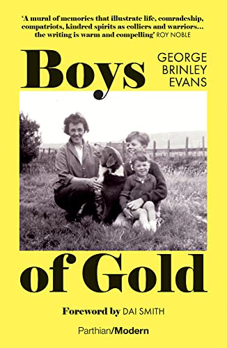 Stock image for Boys of Gold for sale by PBShop.store US